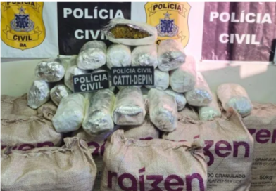 Polícia Civil Desarticula Bunker de Drogas em Irecê com 100 Kg de Maconha Avaliada em R$ 2 Milhões