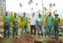 Salvador é 2ª capital com mais área verde do Brasil, aponta estudo da rede MapBiomas