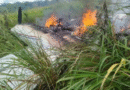 FAB intercepta avião no Pará, ocupantes incendeiam aeronave com 200 kg de droga após pouso forçado