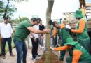 Prefeitura lança Corredor Verde com plantio de 115 árvores na Av. Manoel Dias