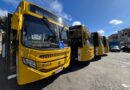 Prefeitura cria 13 novas linhas de ônibus e reativa outras cinco somente em 2025 após pedidos da população