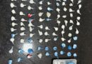 Polícia Militar apreende grande quantidade de drogas e prende homem em Eunápolis