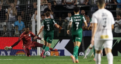 Santos derrota Palmeiras, deixa o Z4 e recoloca Vitória na zona de rebaixamento