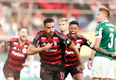 Nove Vezes Campeão! Flamengo Bate Ceará e Conquista o Brasileirão para Fechar Temporada Histórica