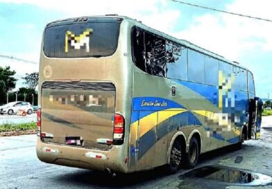 Motorista de ônibus interestadual é preso por falta de pensão na BR-116