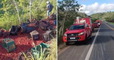 Motorista morre após carreta de acerola cair em ribanceira em Conceição do Almeida