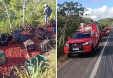 Motorista morre após carreta de acerola cair em ribanceira em Conceição do Almeida