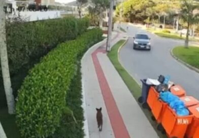 Ministério Público cobra clareza e Polícia Civil é criticada por falhas na investigação