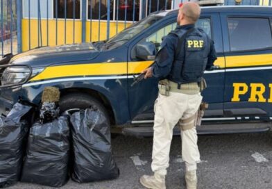 Perseguição na BR-101: Motorista capota carro em ribanceira e abandona 30 kg de maconha