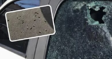 Guerra entre facções deixa dois mortos e rastro de destruição em Tancredo Neves