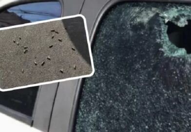 Guerra entre facções deixa dois mortos e rastro de destruição em Tancredo Neves