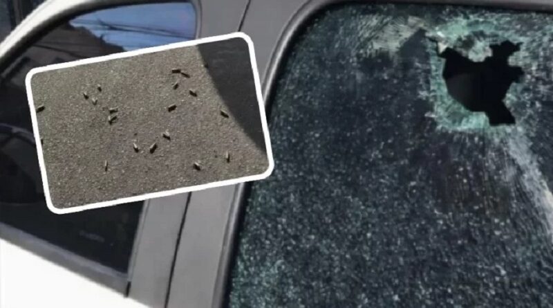 Guerra entre facções deixa dois mortos e rastro de destruição em Tancredo Neves