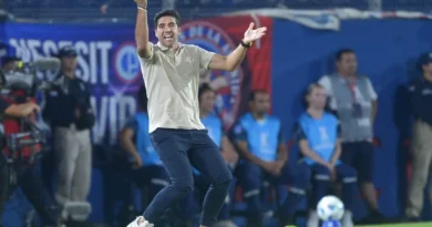 Abel Ferreira “elogia” VAR após estreia na Libertadores: “Parece que este ano vai funcionar”