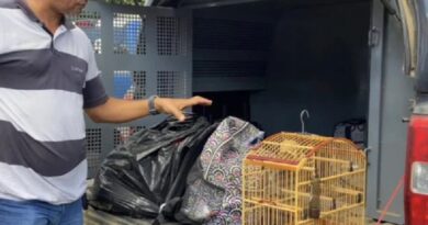 Influenciador digital é preso em flagrante com “supermaconha” e cocaína para o São João de Cruz das Almas