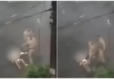 Agressão e spray de pimenta da PM contra jovem no Subúrbio de Salvador; corporação investiga