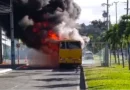 Ônibus pega fogo na Avenida Tancredo Neves e complica trânsito em Salvador