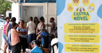 Castramóvel oferece castração gratuita de cães e gatos na Avenida Paralela a partir da próxima terça-feira (8)