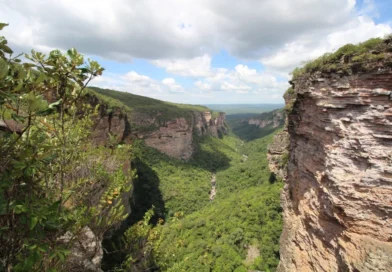 Serra da Chapadinha sofre nova onda de degradação após expulsão de ambientalistas