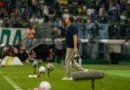 Bahia tropeça contra o Palmeiras, cai no Brasileirão e Ceni promete mudanças drásticas para enfrentar o Mirassol