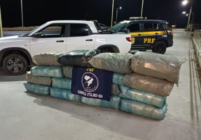 PRF apreende 140 kg de maconha em picape na BR-324 em Simões Filho